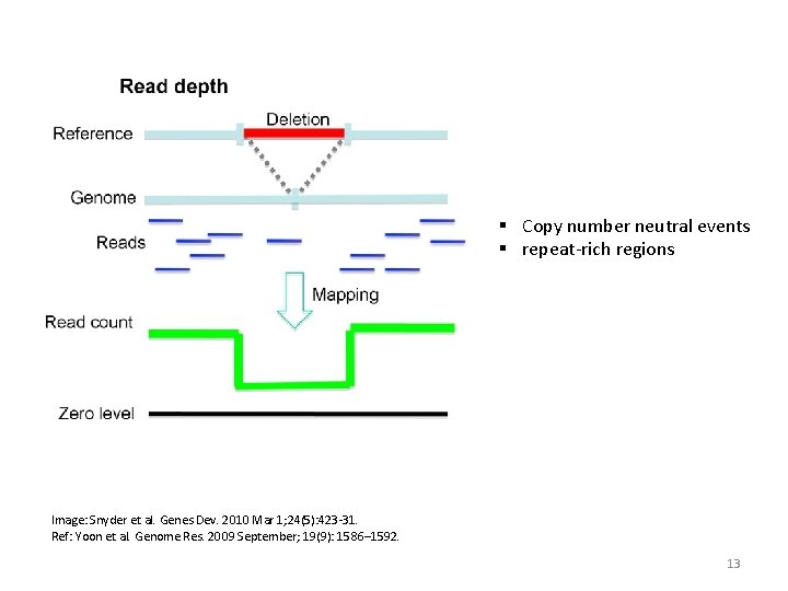 § Copy number neutral events § repeat-rich regions Image: Snyder et al. Genes Dev.