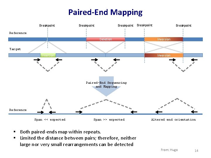 Paired-End Mapping Breakpoint Breakpoint Reference Deletion Inversion Target Insertion Inversion Paired-End Sequencing and Mapping
