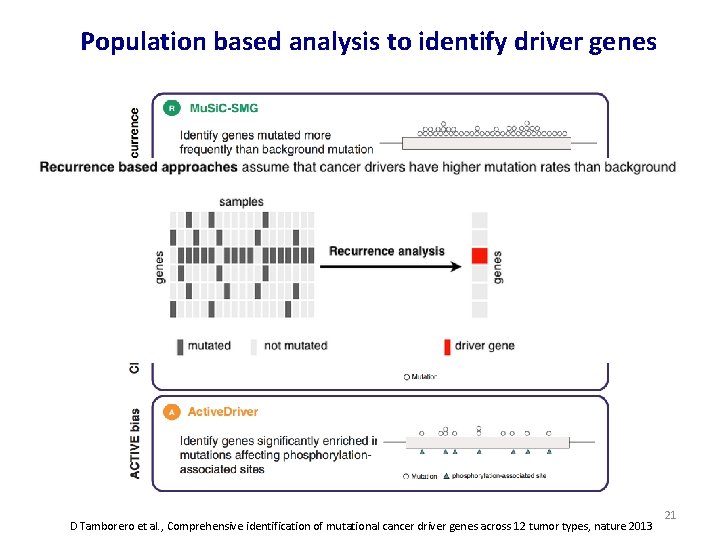 Population based analysis to identify driver genes D Tamborero et al. , Comprehensive identification