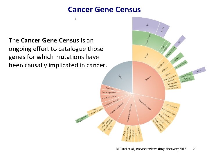 Cancer Gene Census The Cancer Gene Census is an ongoing effort to catalogue those
