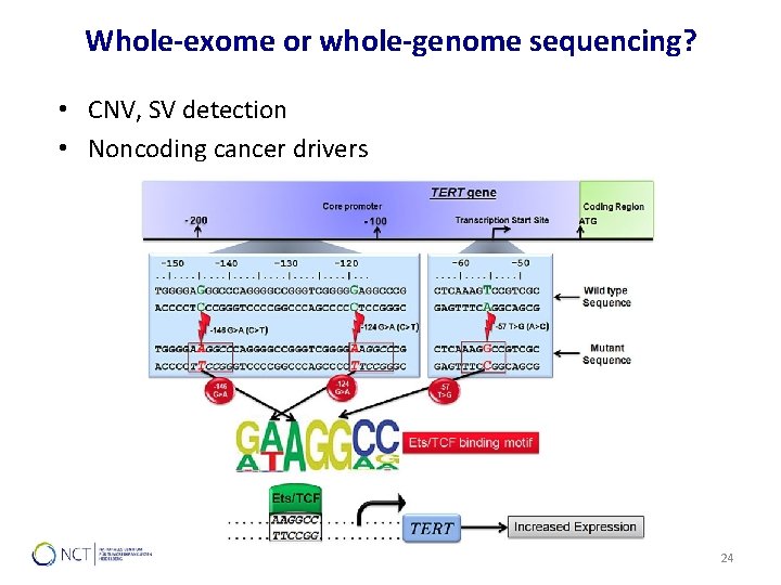 Whole-exome or whole-genome sequencing? • CNV, SV detection • Noncoding cancer drivers 24 