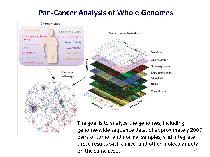 Pan-Cancer Analysis of Whole Genomes The goal is to analyze the genomes, including genome-wide
