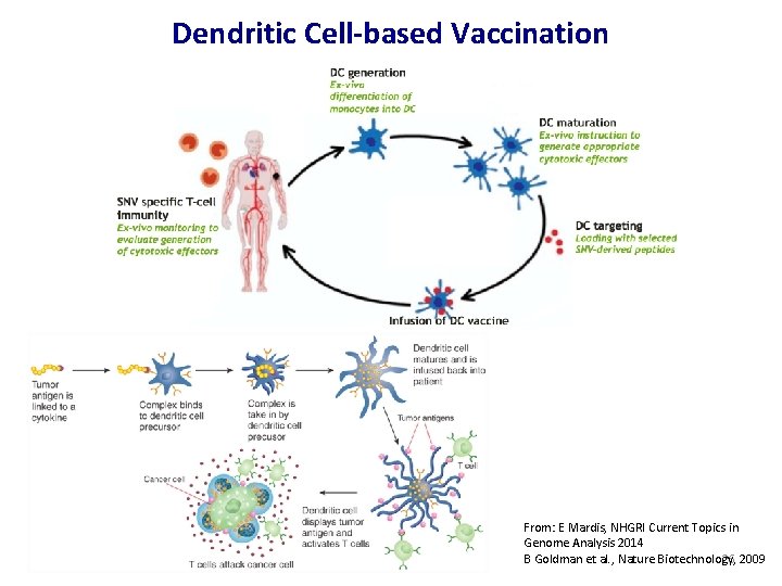 Dendritic Cell-based Vaccination From: E Mardis, NHGRI Current Topics in Genome Analysis 2014 B