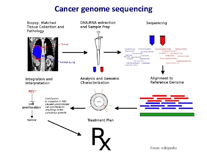 Cancer genome sequencing From: wikipedia 4 