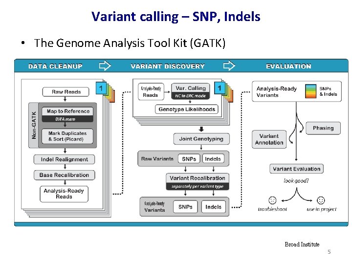Variant calling – SNP, Indels • The Genome Analysis Tool Kit (GATK) Broad Institute