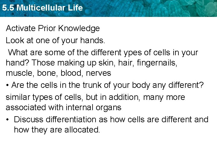 5. 5 Multicellular Life Activate Prior Knowledge Look at one of your hands. What
