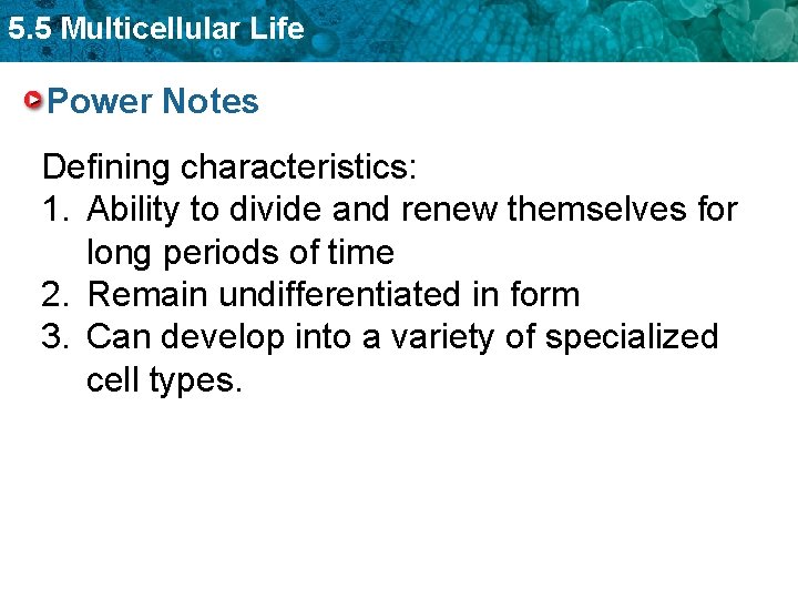 5. 5 Multicellular Life Power Notes Defining characteristics: 1. Ability to divide and renew