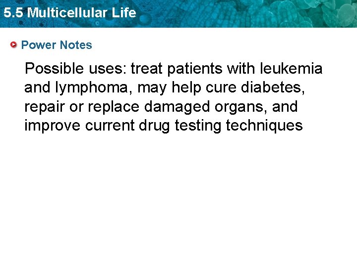 5. 5 Multicellular Life Power Notes Possible uses: treat patients with leukemia and lymphoma,