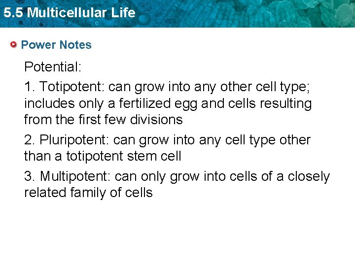 5. 5 Multicellular Life Power Notes Potential: 1. Totipotent: can grow into any other