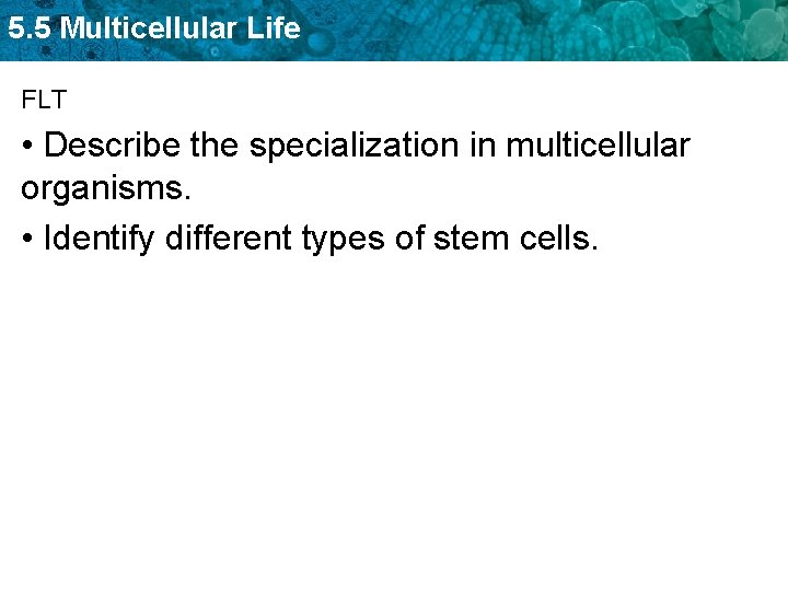 5. 5 Multicellular Life FLT • Describe the specialization in multicellular organisms. • Identify