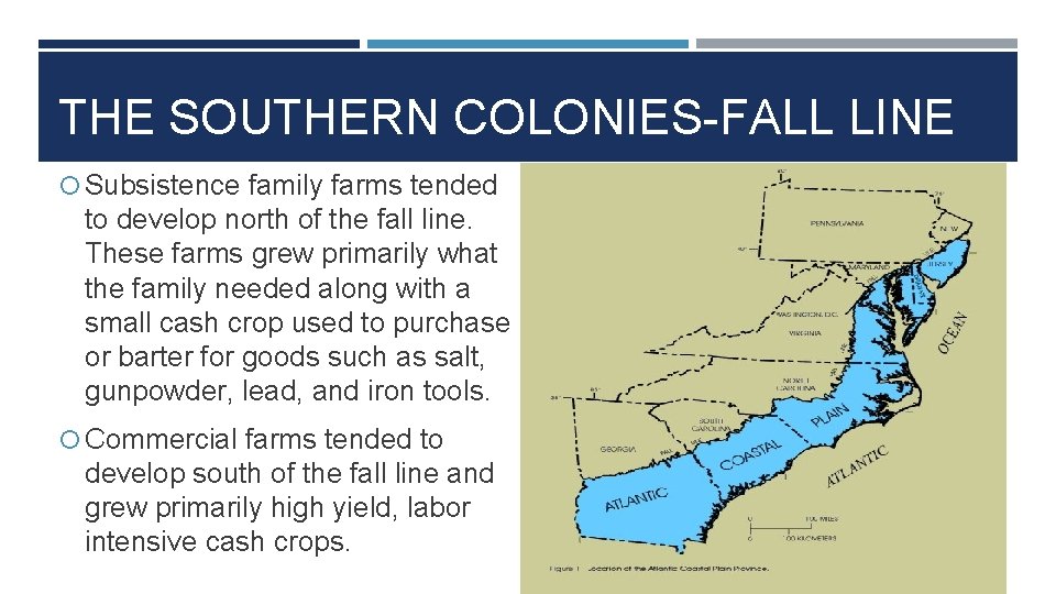 THE SOUTHERN COLONIES-FALL LINE Subsistence family farms tended to develop north of the fall
