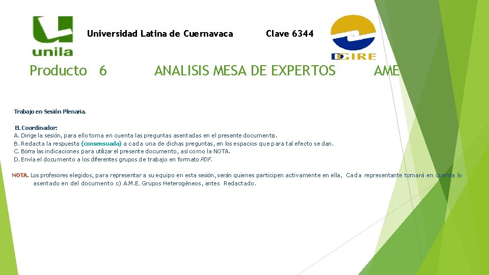 Universidad Latina de Cuernavaca Producto 6 Clave 6344 ANALISIS MESA DE EXPERTOS AME Trabajo