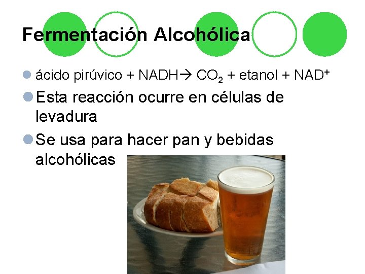 Fermentación Alcohólica l ácido pirúvico + NADH CO 2 + etanol + NAD+ l