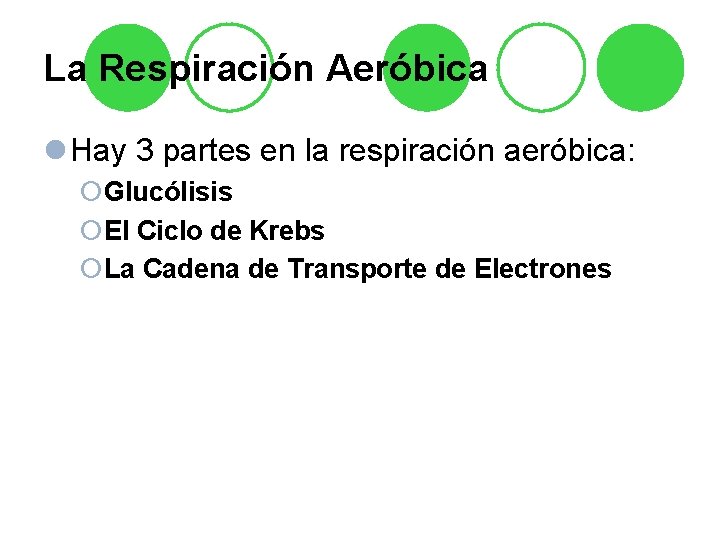 La Respiración Aeróbica l Hay 3 partes en la respiración aeróbica: ¡Glucólisis ¡El Ciclo