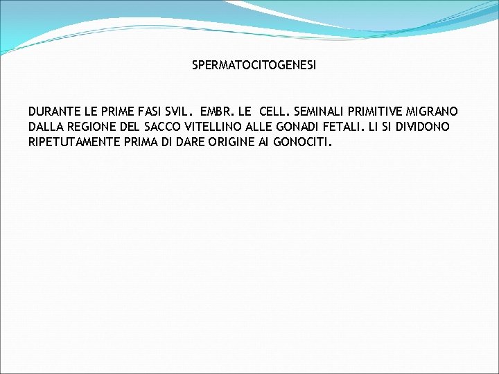 SPERMATOCITOGENESI DURANTE LE PRIME FASI SVIL. EMBR. LE CELL. SEMINALI PRIMITIVE MIGRANO DALLA REGIONE