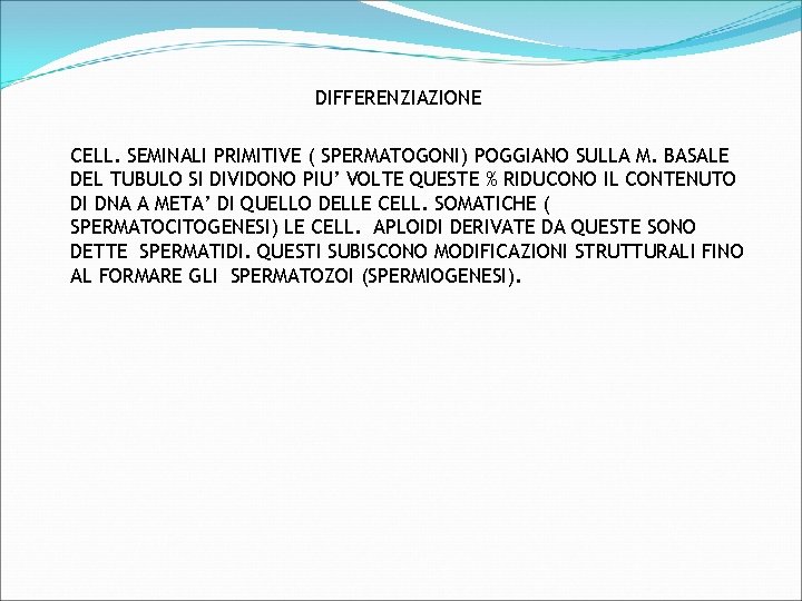 DIFFERENZIAZIONE CELL. SEMINALI PRIMITIVE ( SPERMATOGONI) POGGIANO SULLA M. BASALE DEL TUBULO SI DIVIDONO