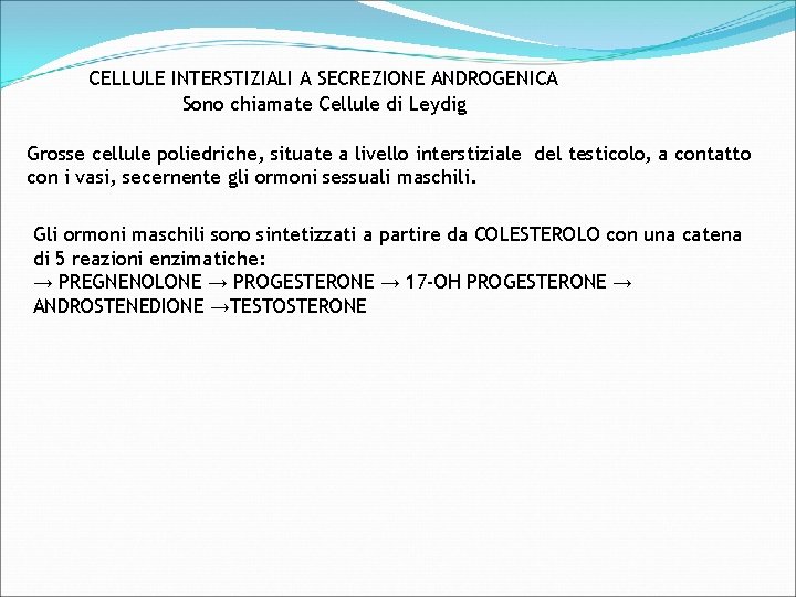 CELLULE INTERSTIZIALI A SECREZIONE ANDROGENICA Sono chiamate Cellule di Leydig Grosse cellule poliedriche, situate