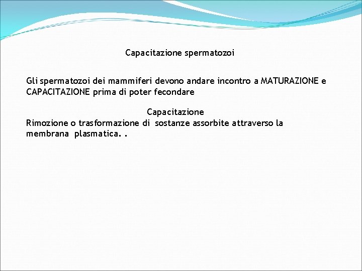 Capacitazione spermatozoi Gli spermatozoi dei mammiferi devono andare incontro a MATURAZIONE e CAPACITAZIONE prima