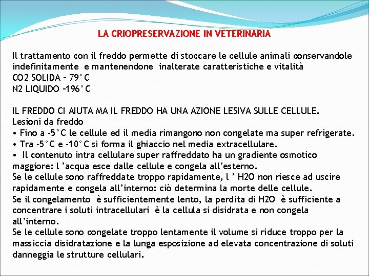 LA CRIOPRESERVAZIONE IN VETERINARIA Il trattamento con il freddo permette di stoccare le cellule