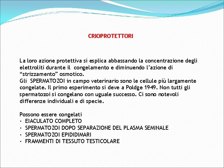 CRIOPROTETTORI La loro azione protettiva si esplica abbassando la concentrazione degli elettroliti durante il