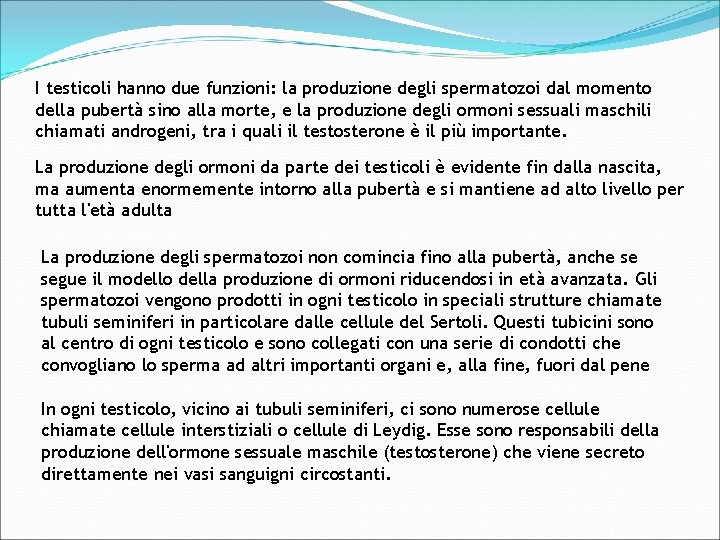 I testicoli hanno due funzioni: la produzione degli spermatozoi dal momento della pubertà sino