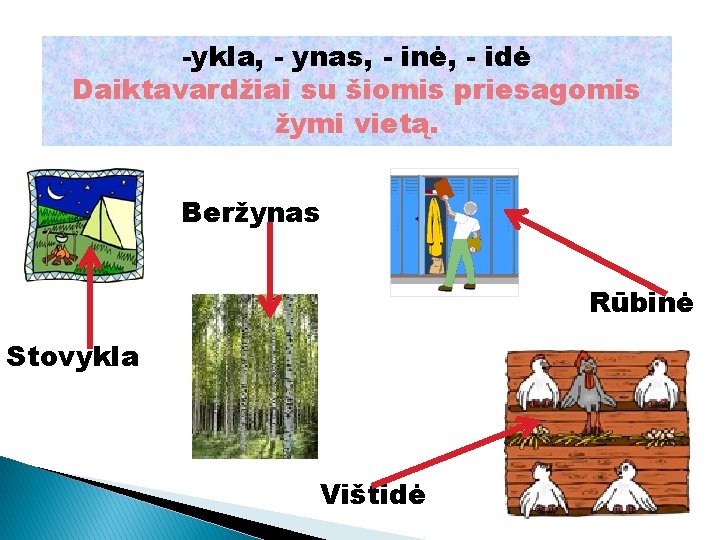 -ykla, - ynas, - inė, - idė Daiktavardžiai su šiomis priesagomis žymi vietą. Beržynas