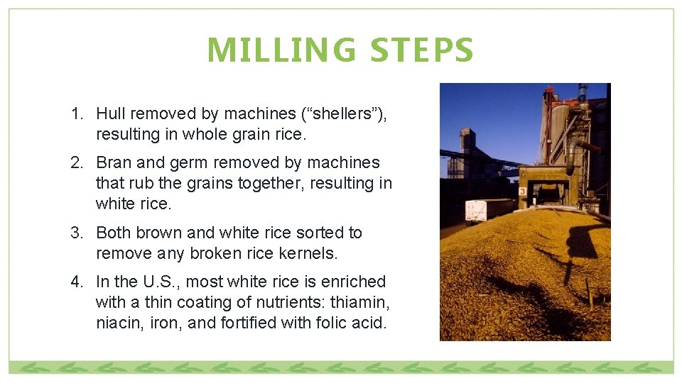 MILLING STEPS 1. Hull removed by machines (“shellers”), resulting in whole grain rice. 2.