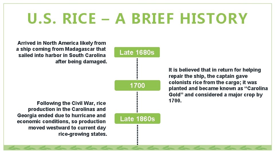 U. S. RICE – A BRIEF HISTORY Arrived in North America likely from a