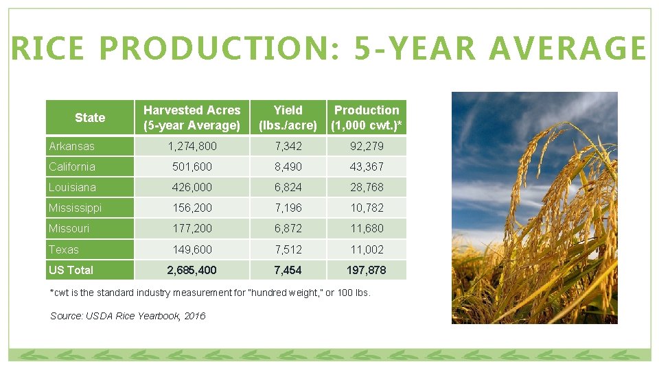 RICE PRODUCTION: 5 -YEAR AVERAGE Harvested Acres (5 -year Average) Yield (lbs. /acre) Production