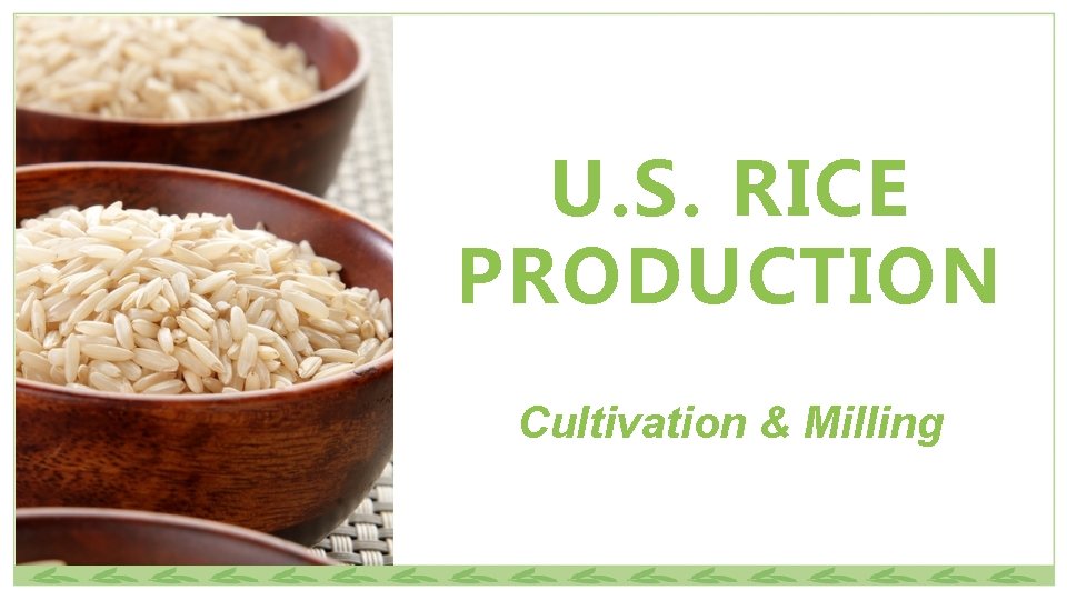 U. S. RICE PRODUCTION Cultivation & Milling 