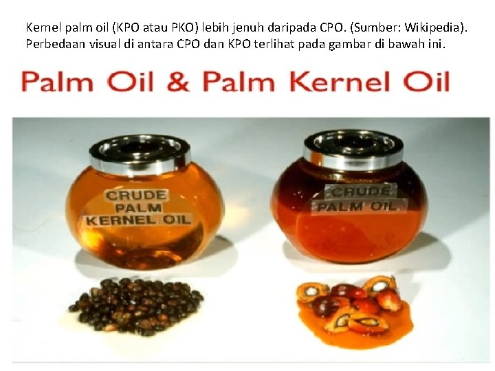 Kernel palm oil (KPO atau PKO) lebih jenuh daripada CPO. (Sumber: Wikipedia). Perbedaan visual