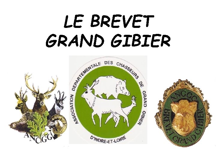 LE BREVET GRAND GIBIER 