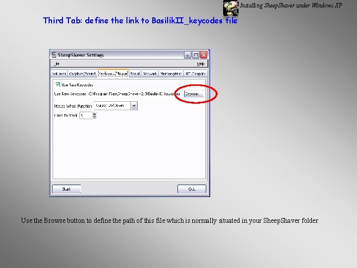 Installing Sheep. Shaver under Windows XP Third Tab: define the link to Basilik. II_keycodes