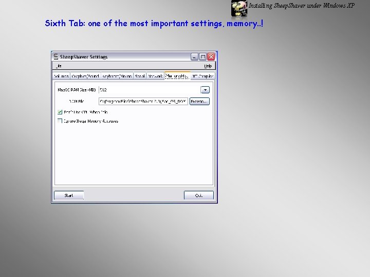 Installing Sheep. Shaver under Windows XP Sixth Tab: one of the most important settings,