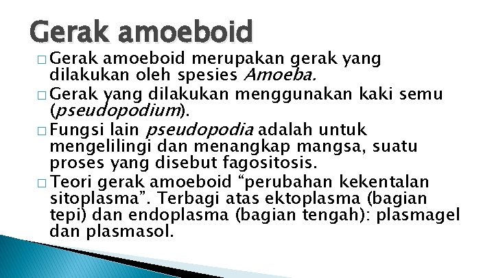 Gerak amoeboid � Gerak amoeboid merupakan gerak yang dilakukan oleh spesies Amoeba. � Gerak