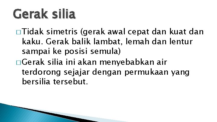 Gerak silia � Tidak simetris (gerak awal cepat dan kuat dan kaku. Gerak balik