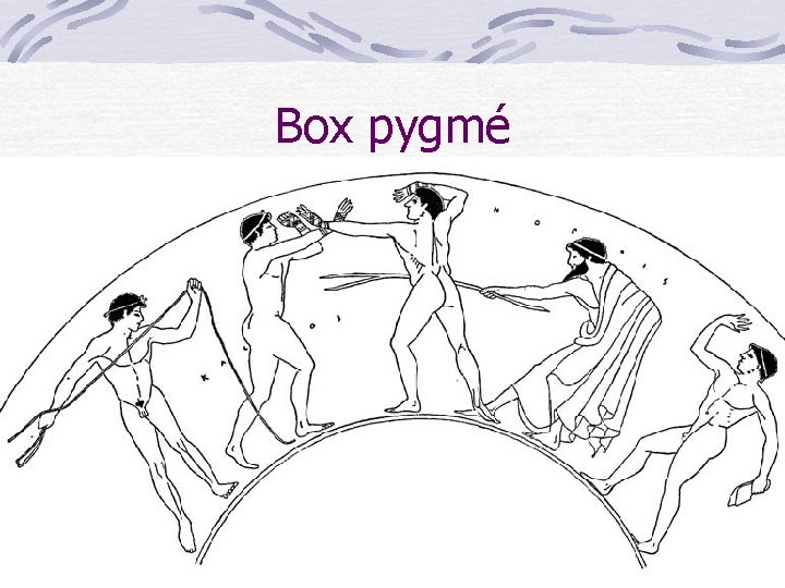 Box pygmé 