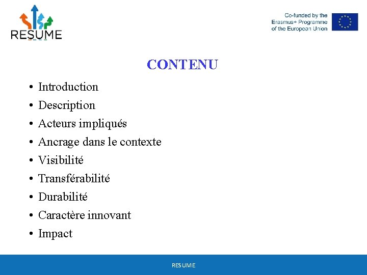 CONTENU • • • Introduction Description Acteurs impliqués Ancrage dans le contexte Visibilité Transférabilité