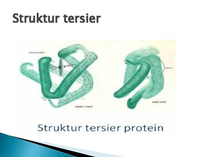 Struktur tersier Struktur tersier