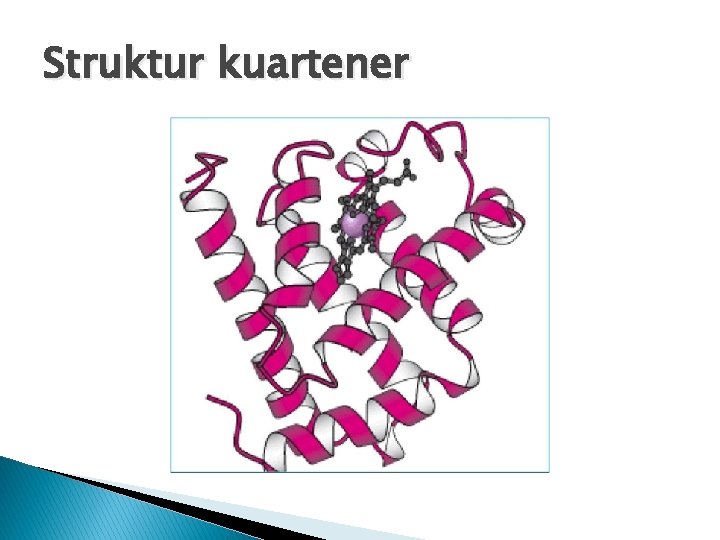 Struktur kuartener Struktur kuartener