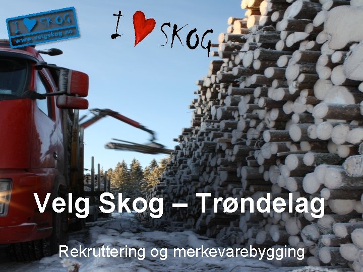 Velg Skog – Trøndelag Rekruttering og merkevarebygging 