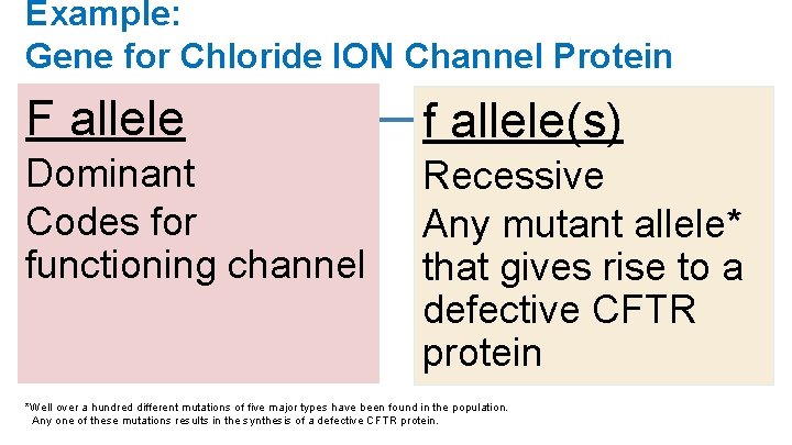 Example: Gene for Chloride ION Channel Protein F allele f allele(s) Dominant Codes for