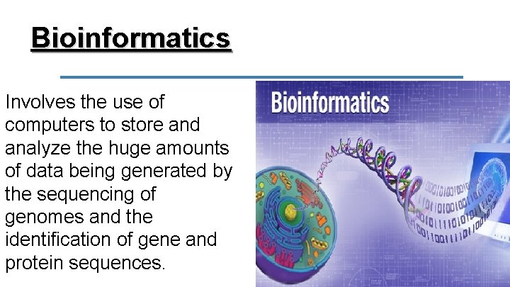 Bioinformatics Involves the use of computers to store and analyze the huge amounts of