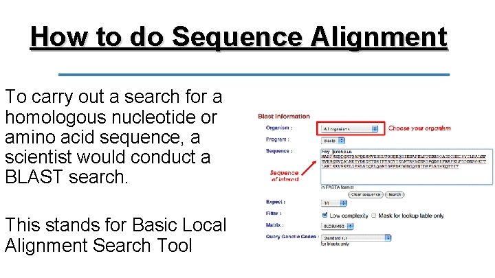 How to do Sequence Alignment To carry out a search for a homologous nucleotide