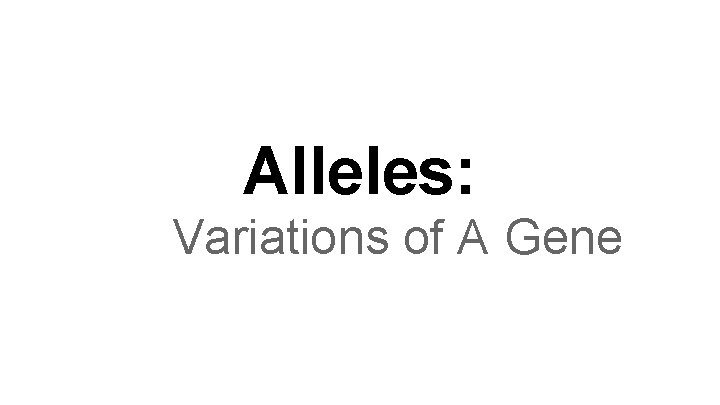 Alleles: Variations of A Gene 