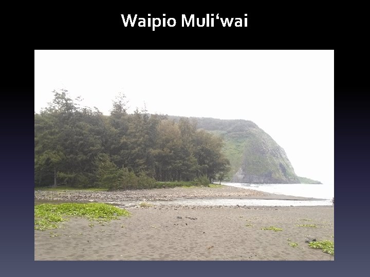 Waipio Muliʻwai 