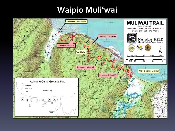 Waipio Muliʻwai 