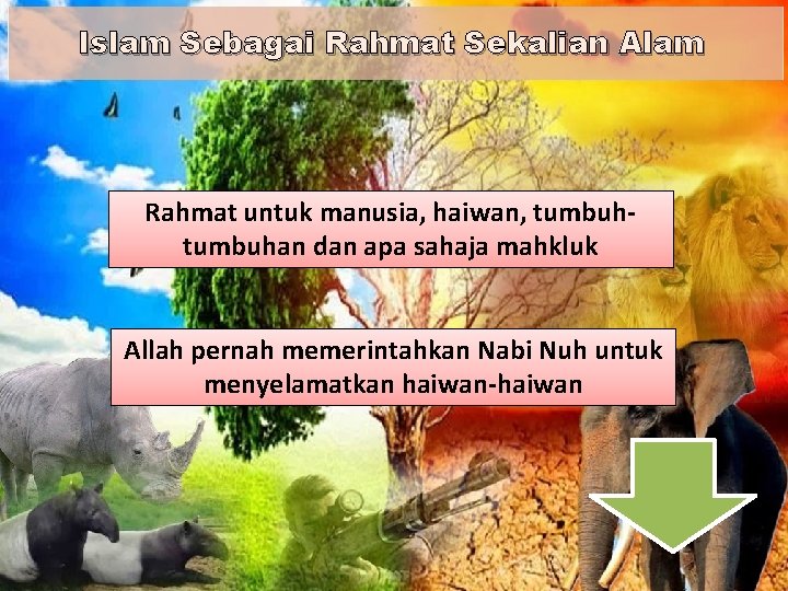 Islam Sebagai Rahmat Sekalian Alam Rahmat untuk manusia, haiwan, tumbuhan dan apa sahaja mahkluk