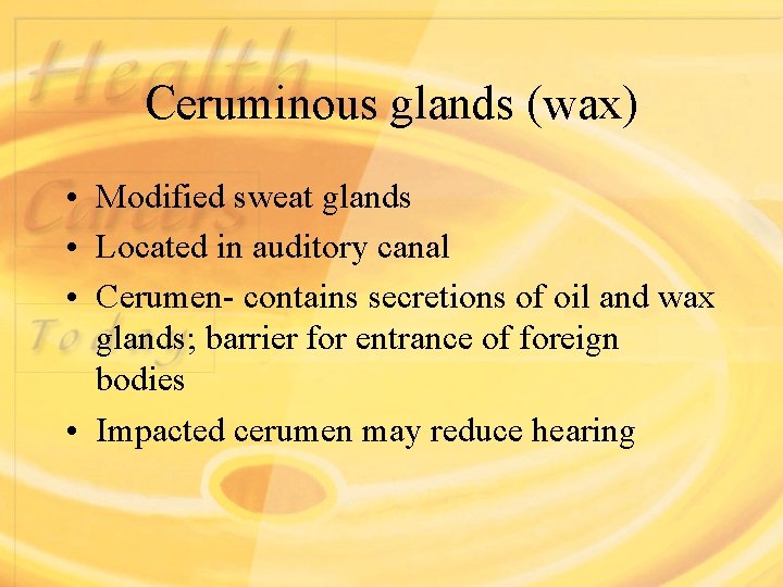 Ceruminous glands (wax) • Modified sweat glands • Located in auditory canal • Cerumen-