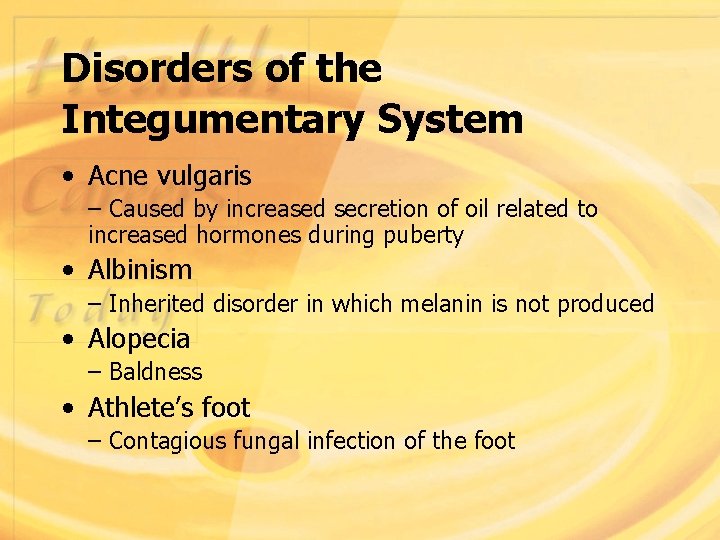 Disorders of the Integumentary System • Acne vulgaris – Caused by increased secretion of